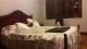 8f114a80-ddad-4681-8fa2-783df4116add.jpg